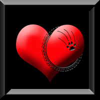 histoires-de-coeur-cadre