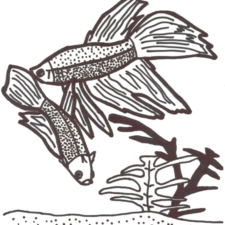 vieux-dessins-animaux