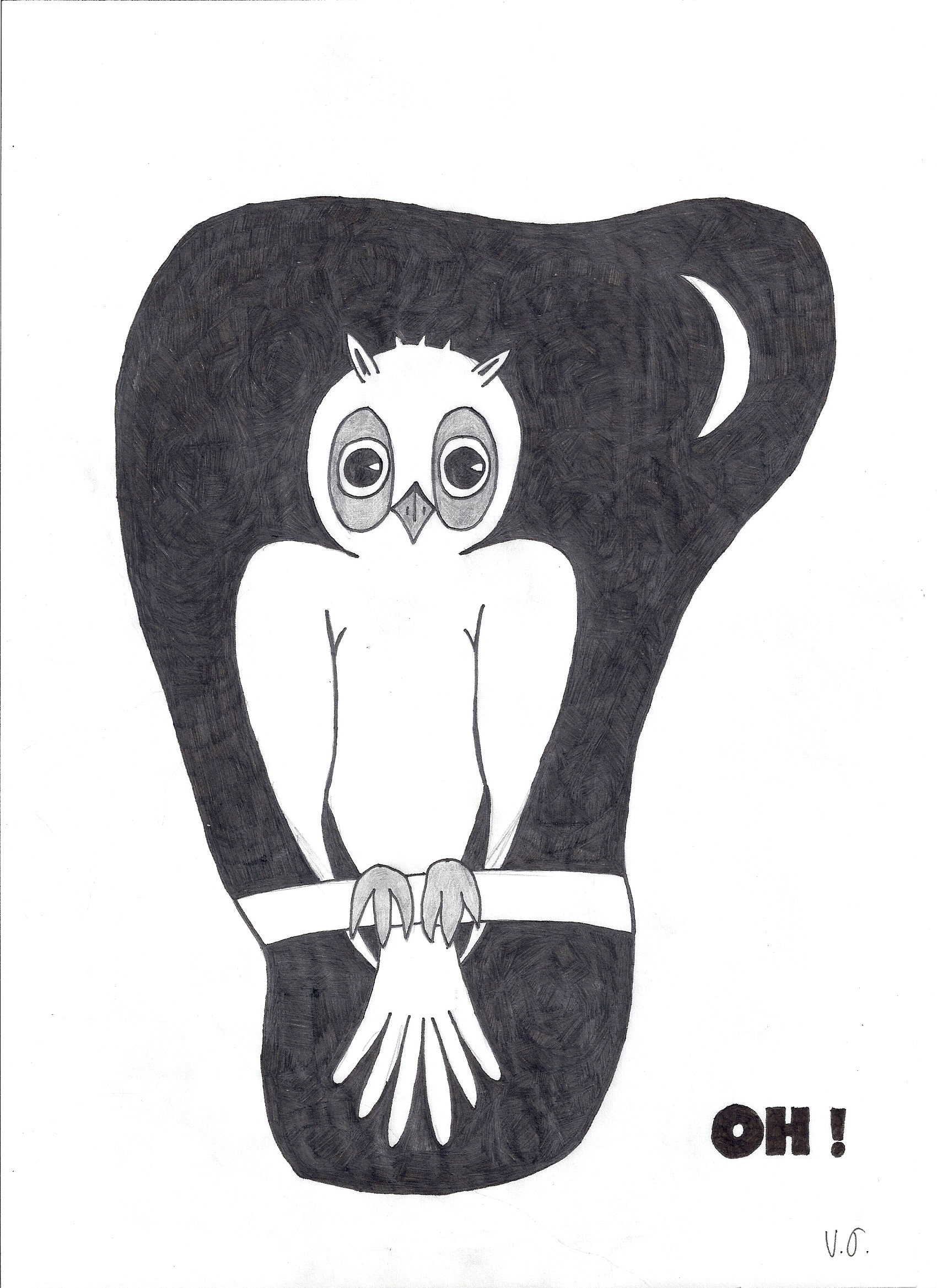 vieux-dessins-chouette