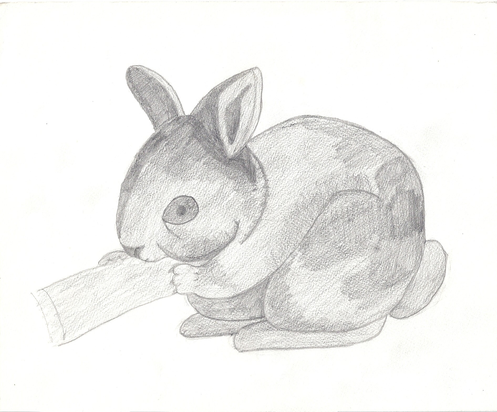 vieux-dessins-lapin
