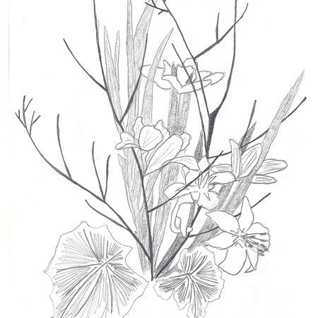 vieux-dessins-divers