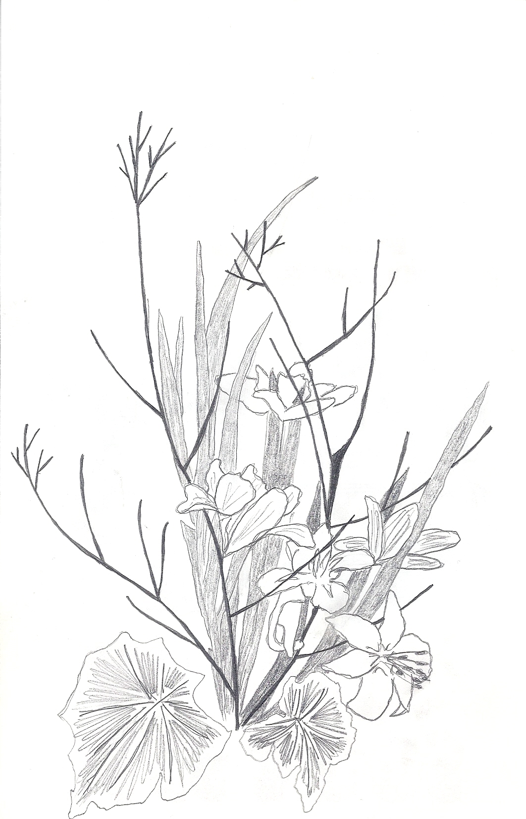 vieux-dessins-fleurs01