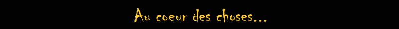 au-coeur-des-choses