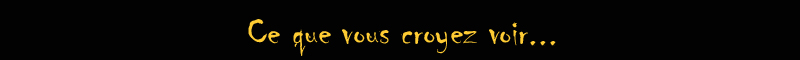 ce-que-vous-croyez-voir