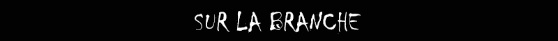 SUR LA BRANCHE